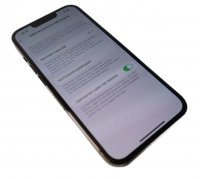 Apple iPhone 13 Pro 128GB Alpine Green SELTEN Akku 95 Prozent Neuwertig mit ovp